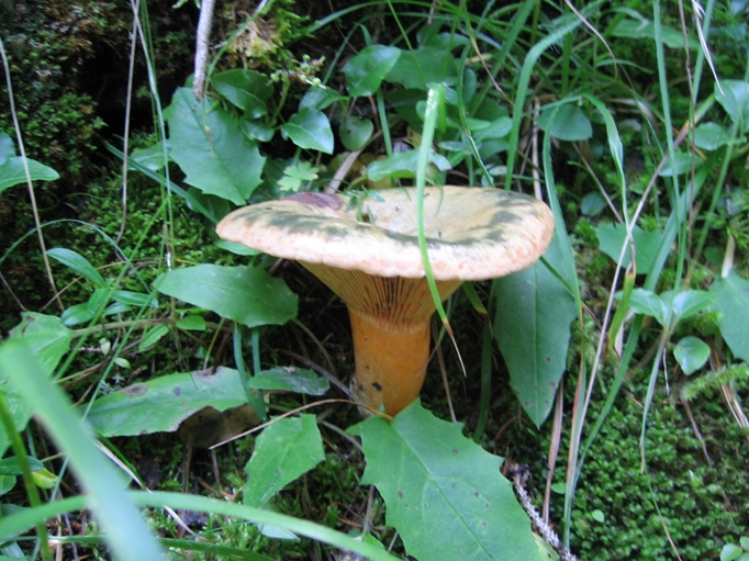 una passeggiata in Val d''Ega